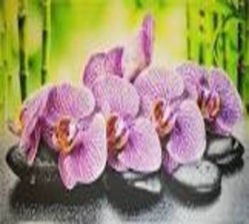 Фартук-панно Орхидея Ванда панно 602*1002 мм
